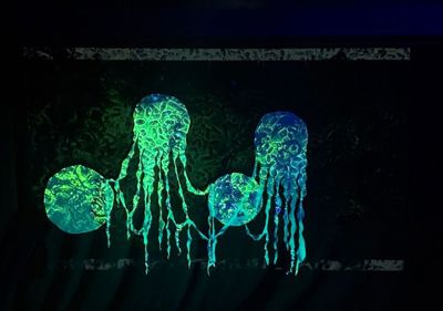 Image from the Light Night Leeds website