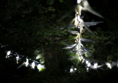 Image from the Light Night Leeds website