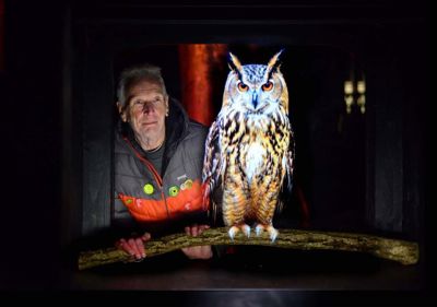 Image from the Light Night Leeds website
